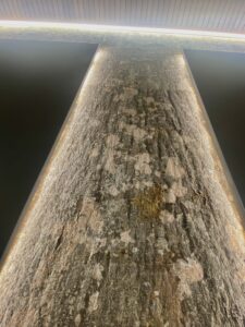 Lepakoorest led valgusega sein kontoris. Lepakoorest plaadid. Forgreenerlife.com