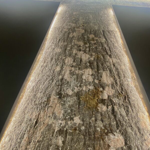 Lepakoorest led valgusega sein kontoris. Lepakoorest plaadid. Forgreenerlife.com