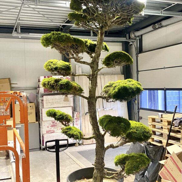 06FE2E73-049F-4F34-BEA5-01A0D48FFA92