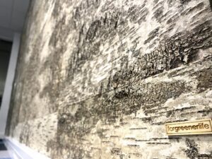 Kasetohust sein kontoris. Kasetohuplaadid. Forgreenerlife.com