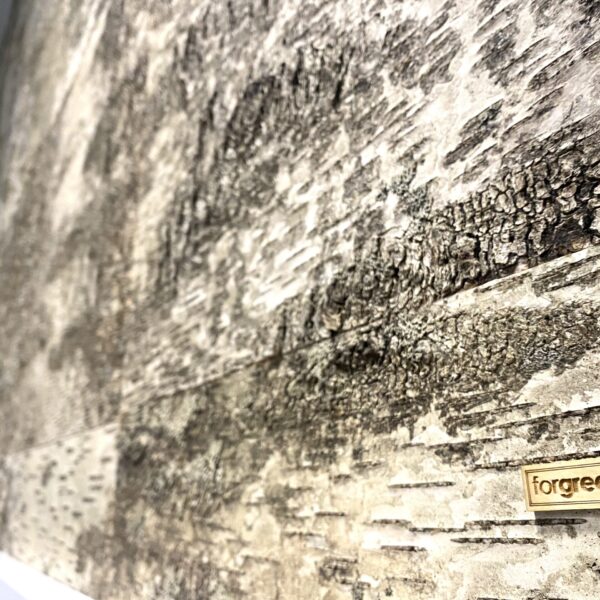 Kasetohust sein kontoris. Kasetohuplaadid. Forgreenerlife.com