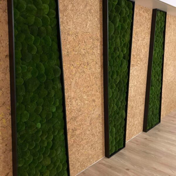 Eramaja sauna eesruum. Säilitatud mätassamblikust taimemoodulid ja peegi tagune. Forgreenerlife.com