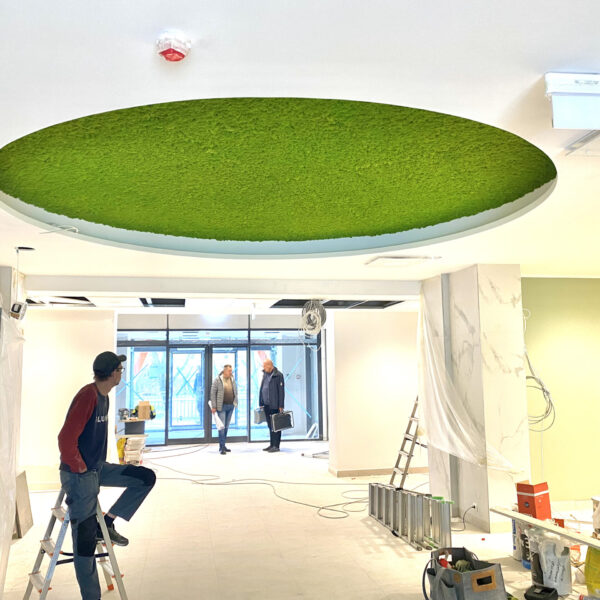 Sõle Tervisekeskuse samblast lagi