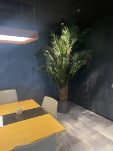 Säilitatud puud. Forgreenerlife.com