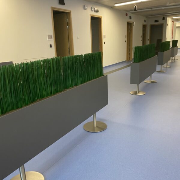 Tartu perearstikeskuses kõrrelised ja bambuselised. Taimekastid. forgreenerlilife.com