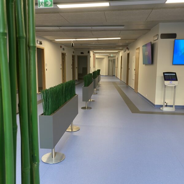 Tartu perearstikeskuses kõrrelised ja bambuselised. Taimekastid. forgreenerlilife.com