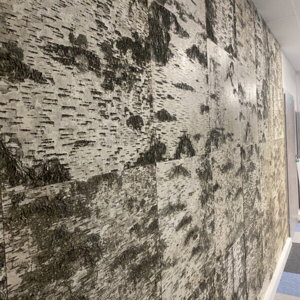 Kasetohust sein kontoris. Kasetohuplaadid. Forgreenerlife.com