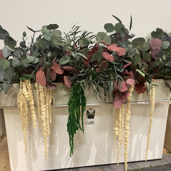 Taimede ja kõrreliste kastid. Kunst ja säilitatud taimed. Forgreenerlife.com