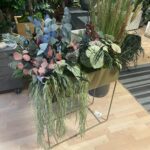 Taimede ja kõrreliste kastid. Kunst ja säilitatud taimed. Forgreenerlife.com