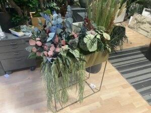 Taimede ja kõrreliste kastid. Kunst ja säilitatud taimed. Forgreenerlife.com