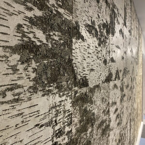 3BCBE208-D5B3-4E20-9B5F-5ACD79A08927