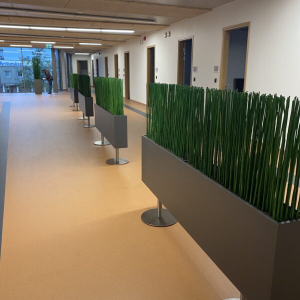 Tartu perearstikeskuses kõrrelised ja bambuselised. Taimekastid. forgreenerlilife.com