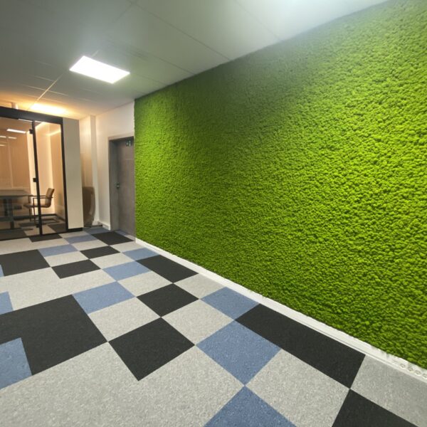 Samblast sein. Säilitatud põdrasamblik. Forgreenerlife.com