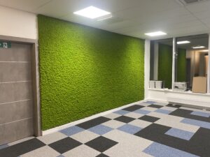 Samblast sein. Säilitatud põdrasamblik. Forgreenerlife.com