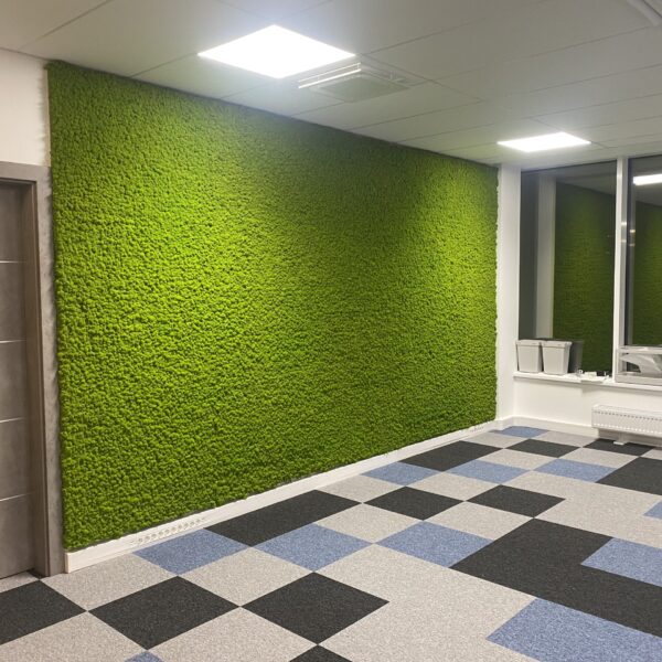 Samblast sein. Säilitatud põdrasamblik. Forgreenerlife.com