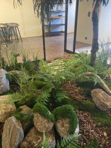 Plantaarium kontorisse, Talveaed.