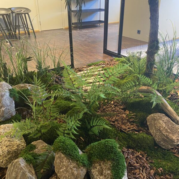 Plantaarium kontorisse, Talveaed.