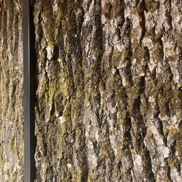 Haavakoorest paneelid. Forgreenerlife.com