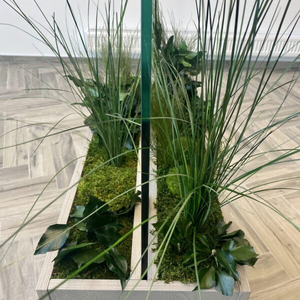 Taimede ja kõrreliste kastid. Kunst ja säilitatud taimed. Forgreenerlife.com