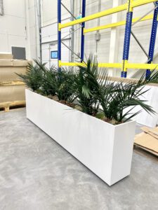 Taimede ja kõrreliste kastid. Kunst ja säilitatud taimed. Forgreenerlife.com