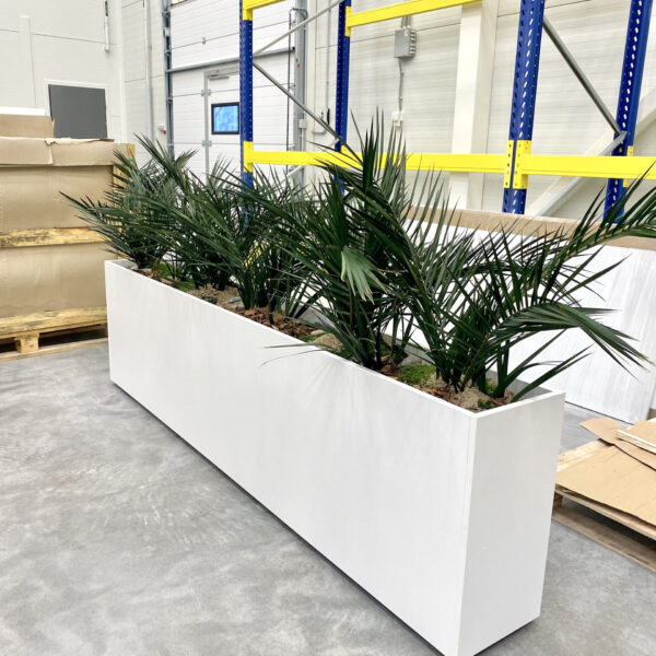 Taimede ja kõrreliste kastid. Kunst ja säilitatud taimed. Forgreenerlife.com