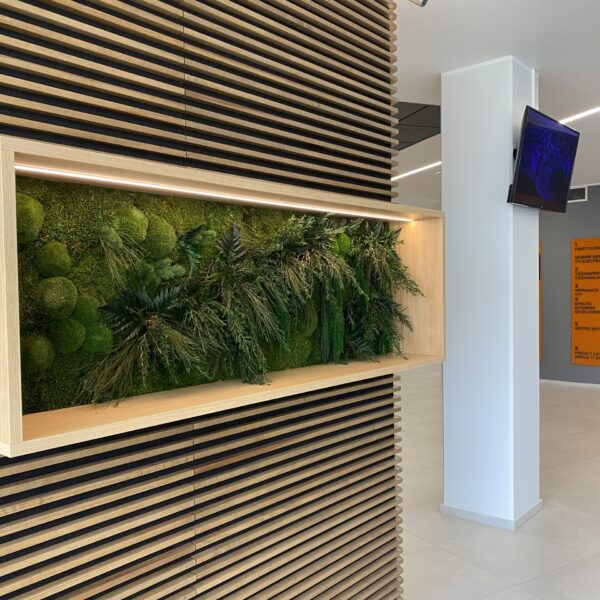 Ärimaja Tehnopolis taimedega valgustatud pilt. Säilitatud taimed led valgusega. Forgreenerlife.com