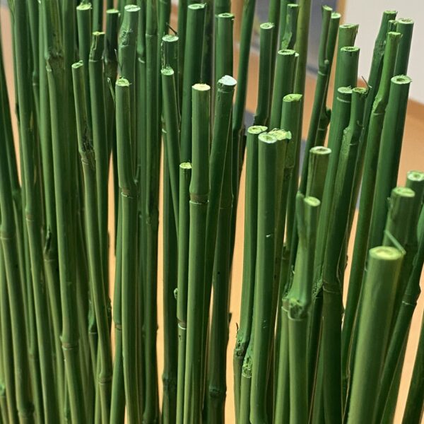 Tartu perearstikeskuses kõrrelised ja bambuselised. Taimekastid. forgreenerlilife.com