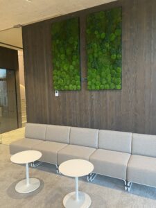 Saue Vallavalitsus. Erinevatest säilitatud samblikest pildid. Forgreenerlife.com