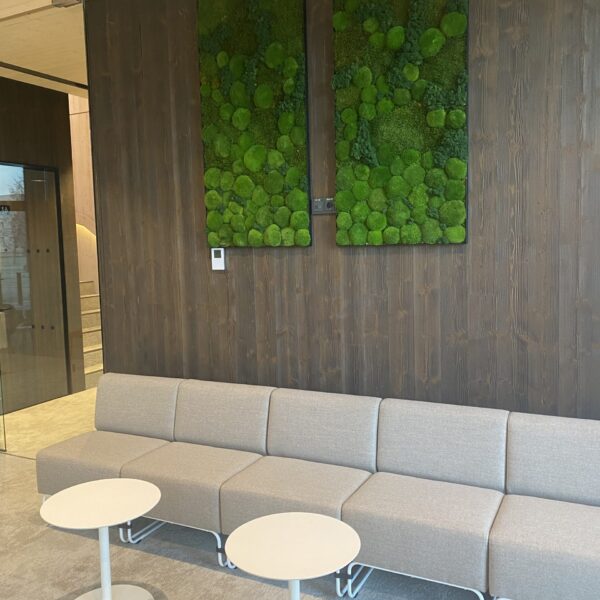 Saue Vallavalitsus. Erinevatest säilitatud samblikest pildid. Forgreenerlife.com