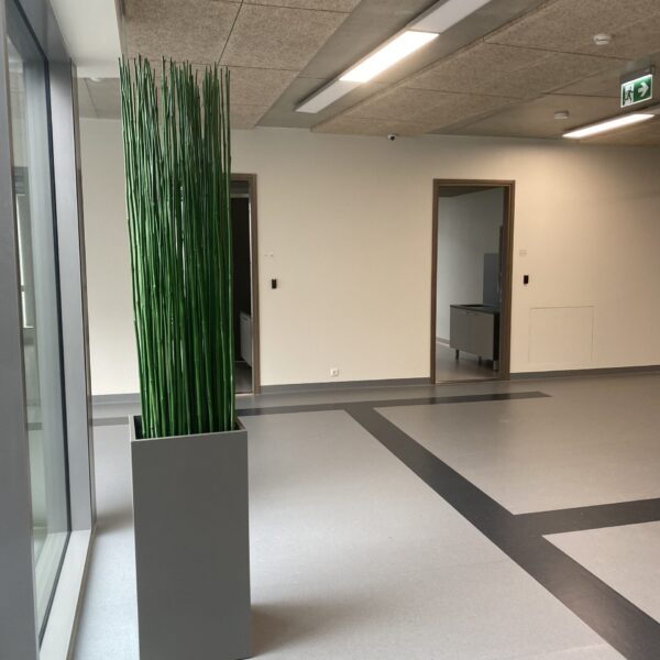 Tartu perearstikeskuses kõrrelised ja bambuselised. Taimekastid. forgreenerlilife.com