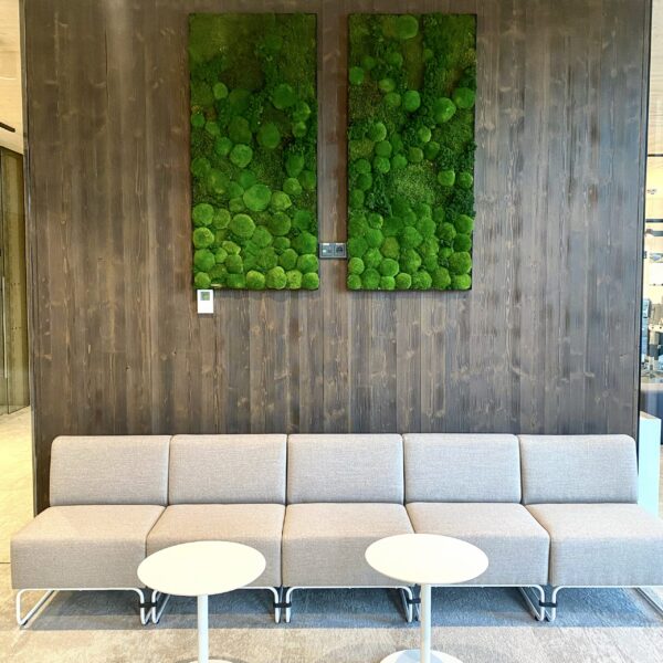 Saue Vallavalitsus. Erinevatest säilitatud samblikest pildid. Forgreenerlife.com