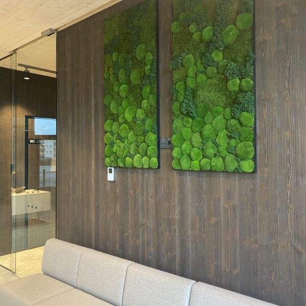 Saue Vallavalitsus. Erinevatest säilitatud samblikest pildid. Forgreenerlife.com