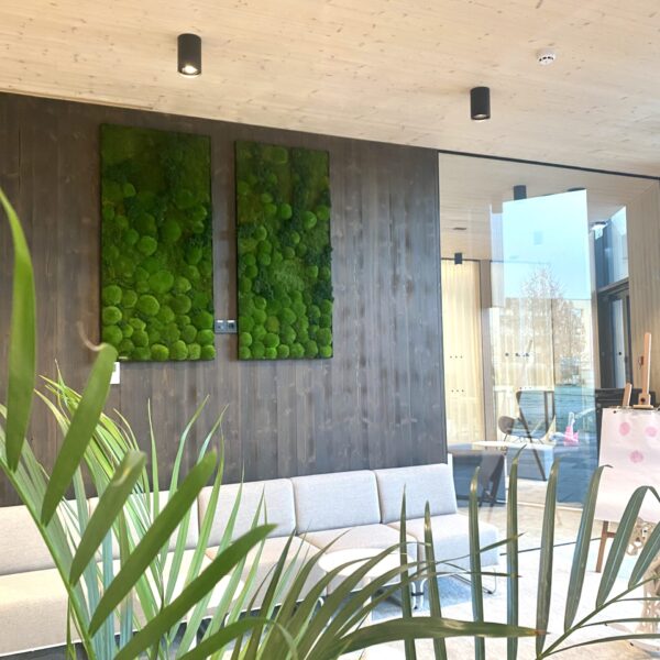 Saue Vallavalitsus. Erinevatest säilitatud samblikest pildid. Forgreenerlife.com