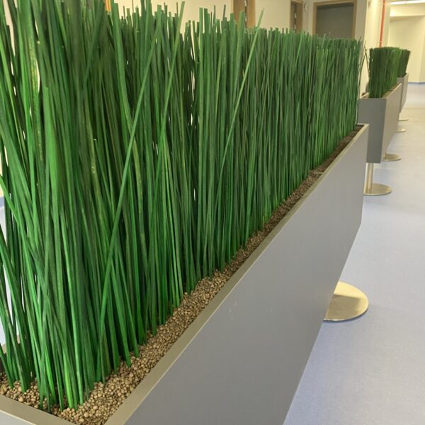 Tartu perearstikeskuses kõrrelised ja bambuselised. Taimekastid. forgreenerlilife.com