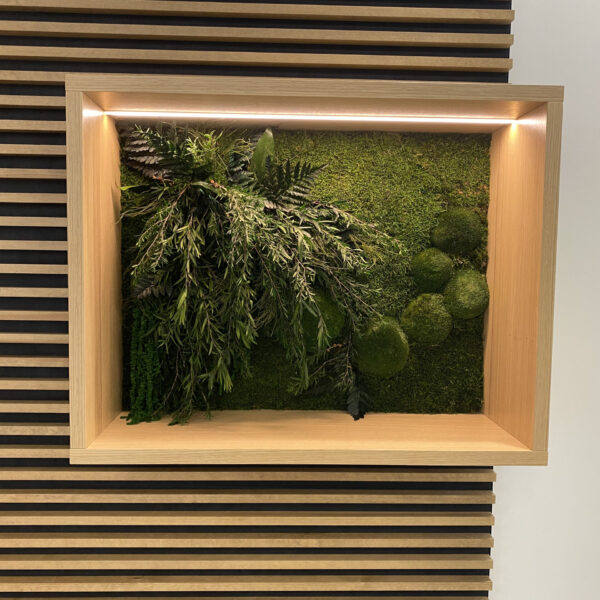 Ärimaja Tehnopolis taimedega valgustatud pilt. Säilitatud taimed led valgusega. Forgreenerlife.com