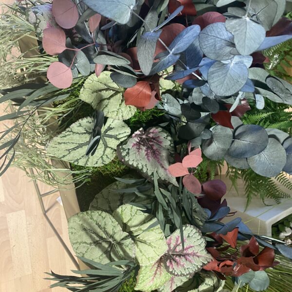 Taimede ja kõrreliste kastid. Kunst ja säilitatud taimed. Forgreenerlife.com