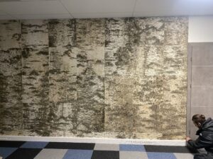 Kasetohust sein kontoris. Kasetohuplaadid. Forgreenerlife.com