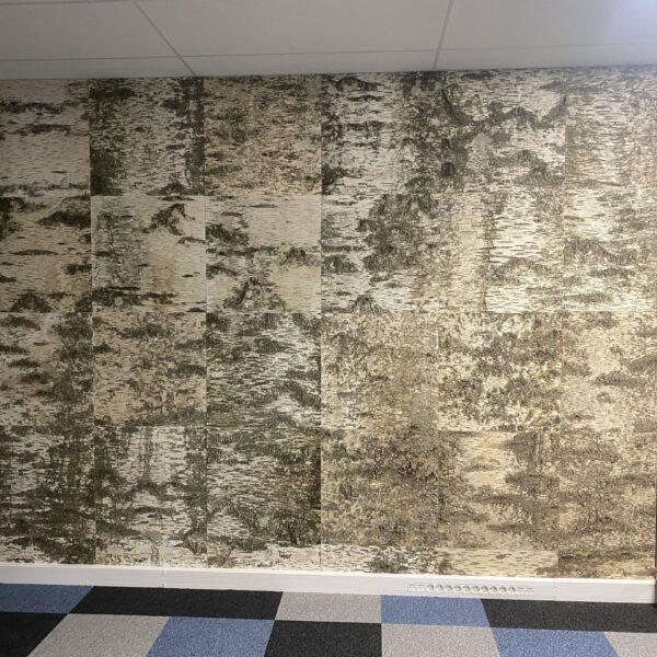 Kasetohust sein kontoris. Kasetohuplaadid. Forgreenerlife.com