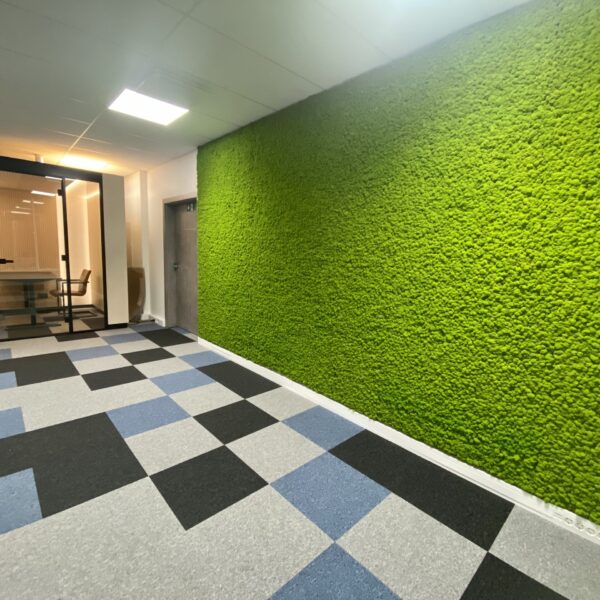 Samblast sein. Säilitatud põdrasamblik. Forgreenerlife.com