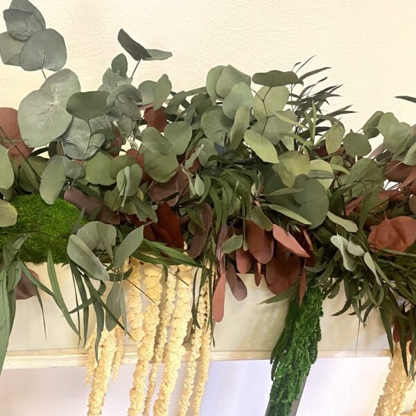 Taimede ja kõrreliste kastid. Kunst ja säilitatud taimed. Forgreenerlife.com