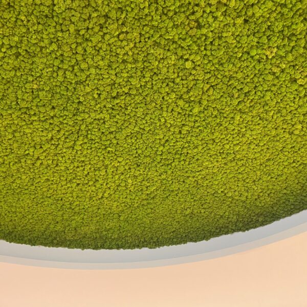 Sõle Tervisekeskuse samblast lagi