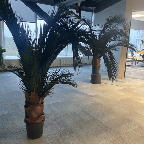 CCCA4D74-DEAC-44CC-9EB4-888991C00F46