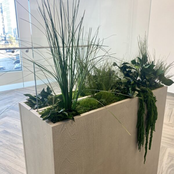 Taimede ja kõrreliste kastid. Kunst ja säilitatud taimed. Forgreenerlife.com