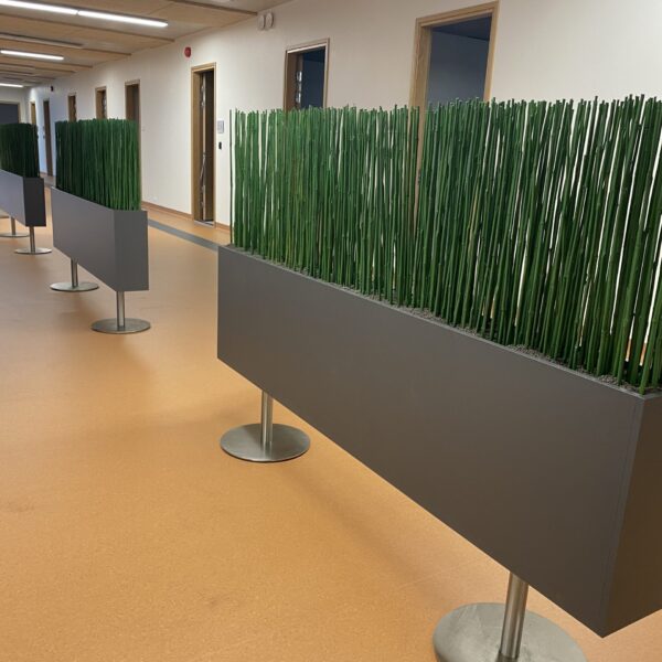 Tartu perearstikeskuses kõrrelised ja bambuselised. Taimekastid. forgreenerlilife.com