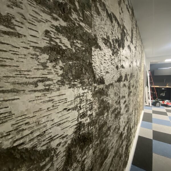 Kasetohust sein kontoris. Kasetohuplaadid. Forgreenerlife.com