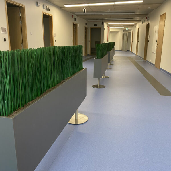 Tartu perearstikeskuses kõrrelised ja bambuselised. Taimekastid. forgreenerlilife.com