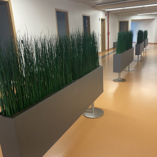 Tartu perearstikeskuses kõrrelised ja bambuselised. Taimekastid. forgreenerlilife.com