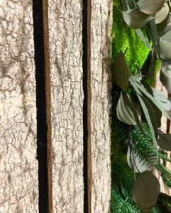 Akustilise paneelid samblikust ja haavakoorest Forgreenerlife.com