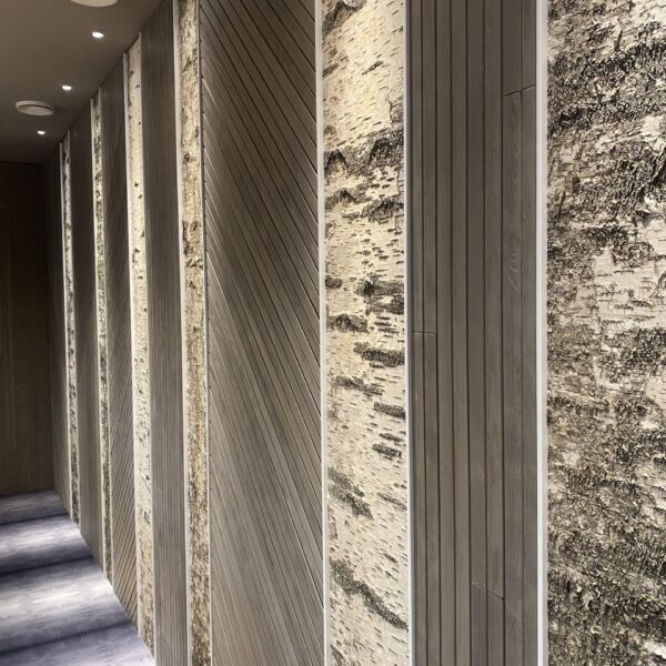 Kasetohust sein kontoris. Kasetohuplaadid. Forgreenerlife.com