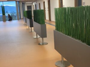 Tartu perearstikeskuses kõrrelised ja bambuselised. Taimekastid. forgreenerlilife.com